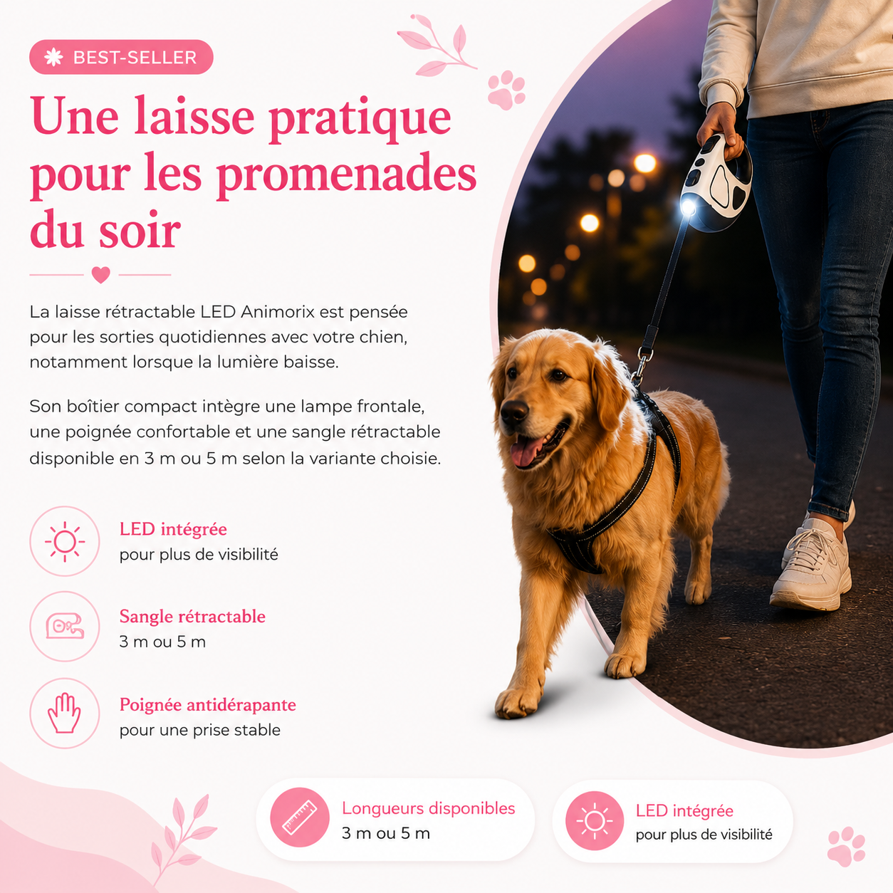 Laisse rétractable LED pour chien AnimoriX