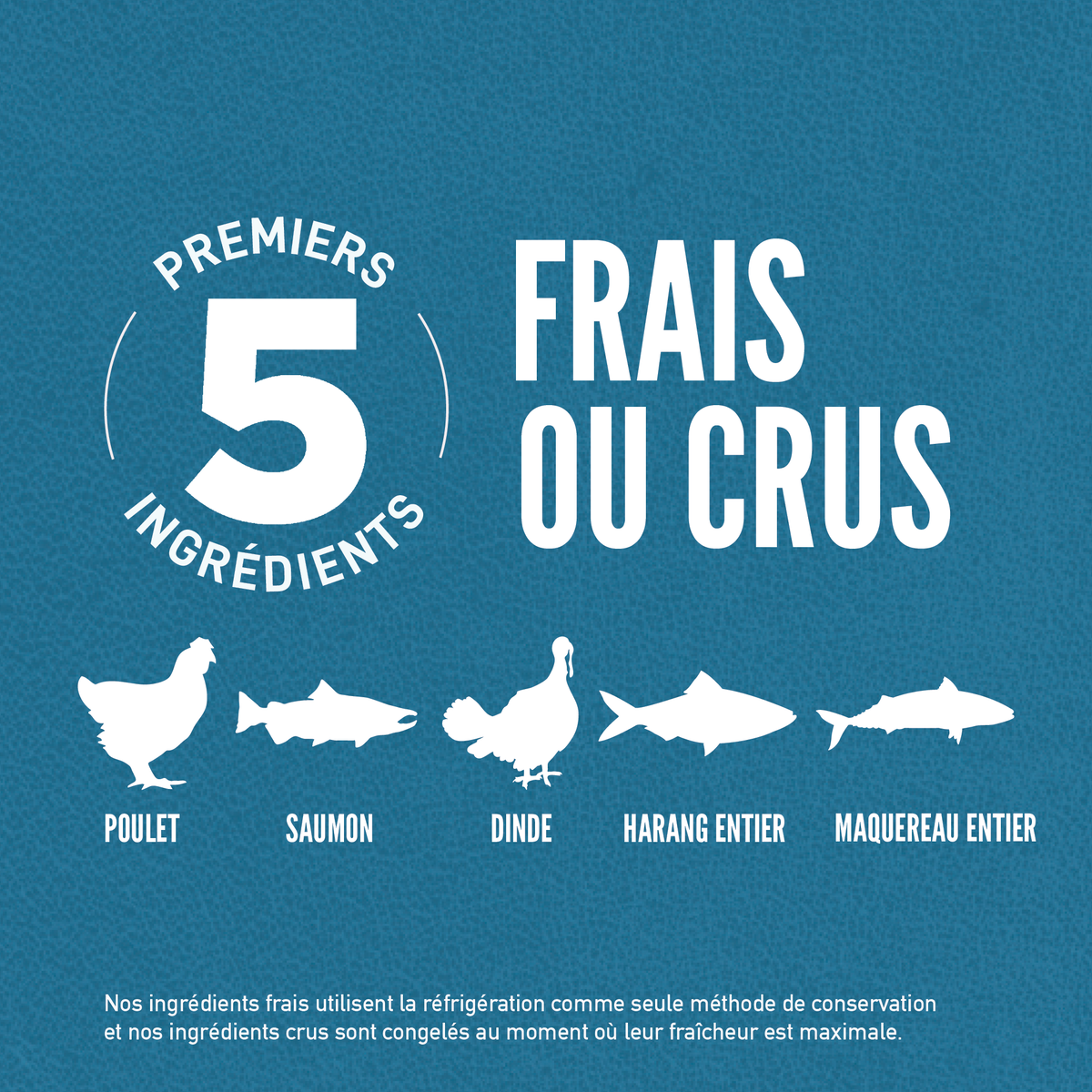 Croquettes ORIJEN CAT GUARDIAN 8 – photo 3