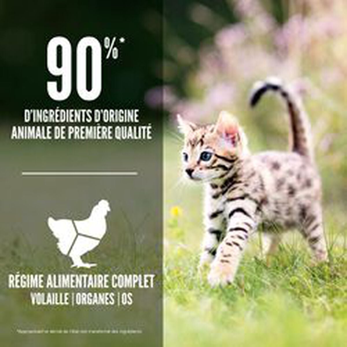 Croquettes ORIJEN KITTEN – photo 4