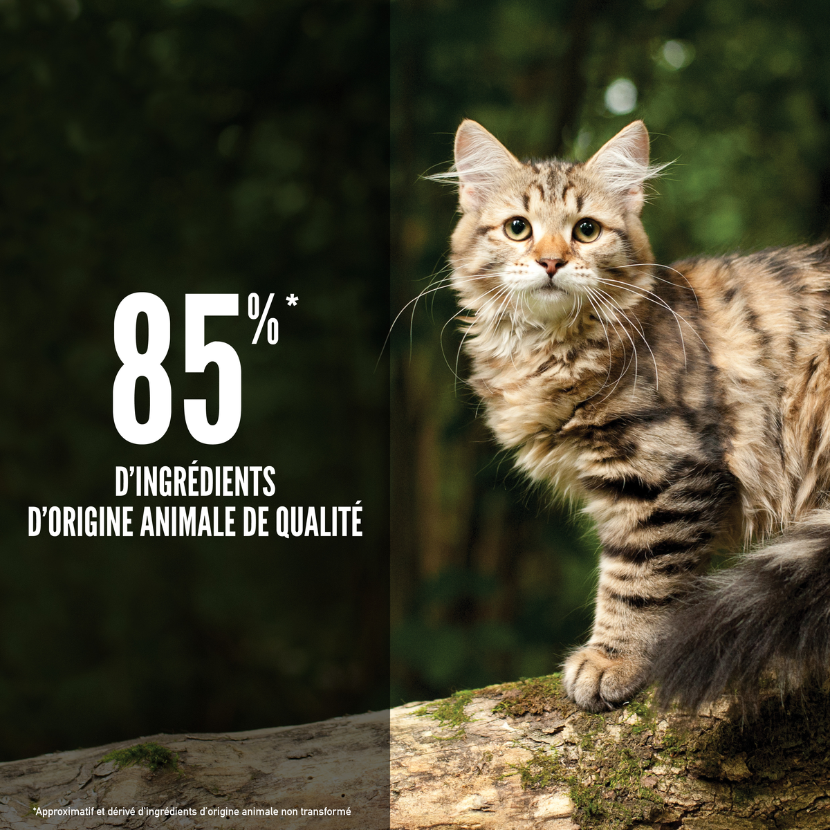 Lot de 2 sacs – ORIJEN Tundra – Croquettes sans céréales chat aux viandes variées