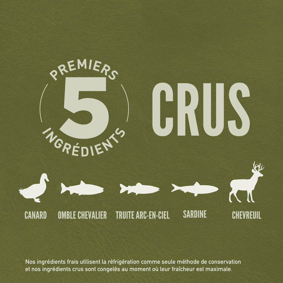 Croquettes ORIJEN CAT TUNDRA – photo 4