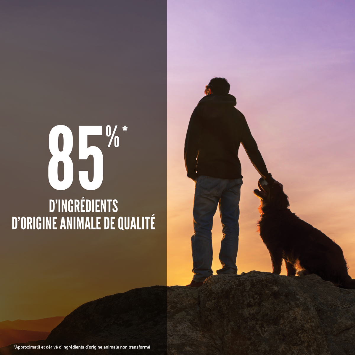 Croquettes ORIJEN DOG REGIONAL RED – photo 3