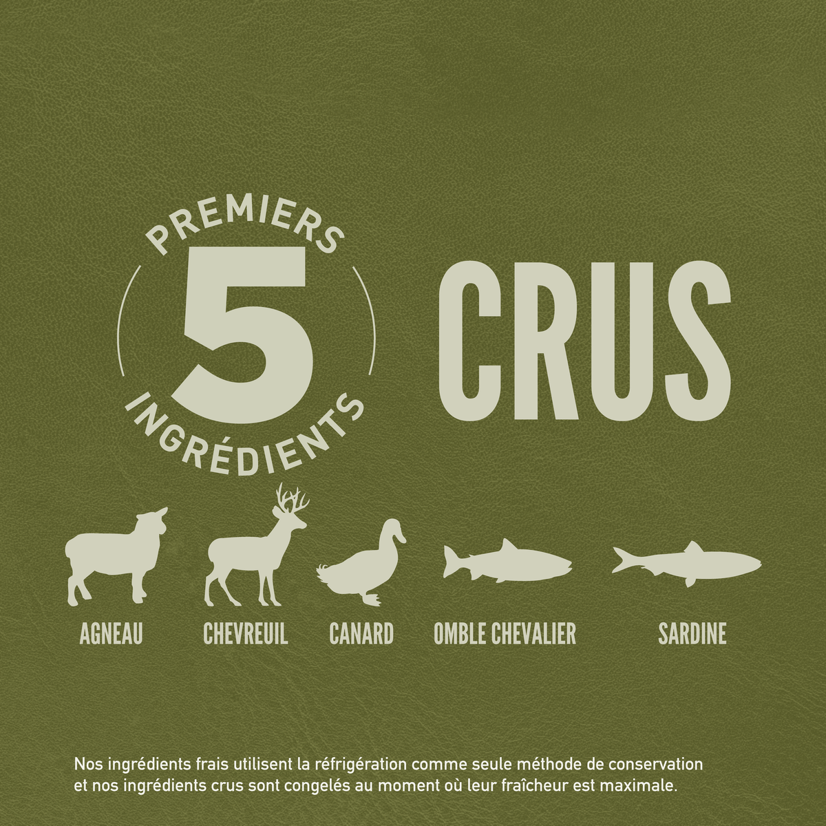 Croquettes ORIJEN DOG TUNDRA – photo 4