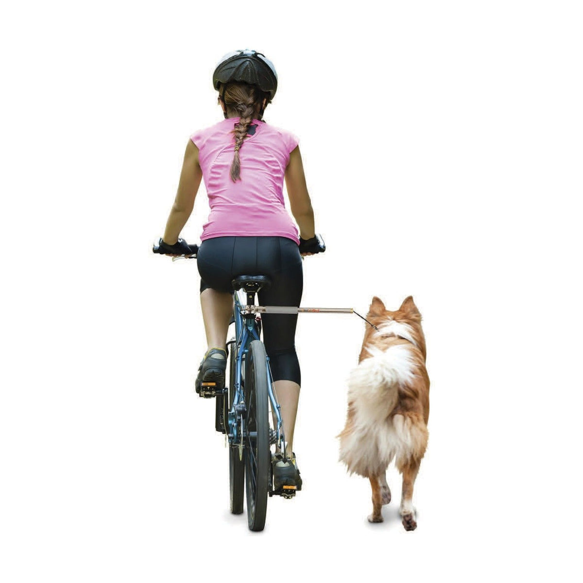 Accessoires pour faire du vélo avec votre chien