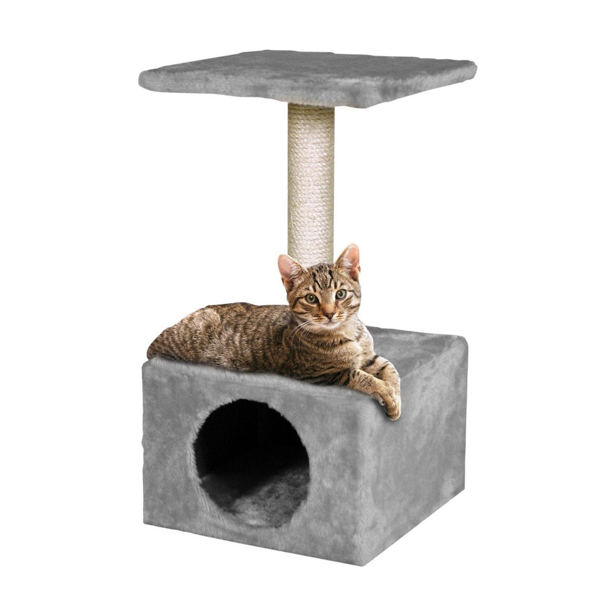 Arbre à chat 1 caisson