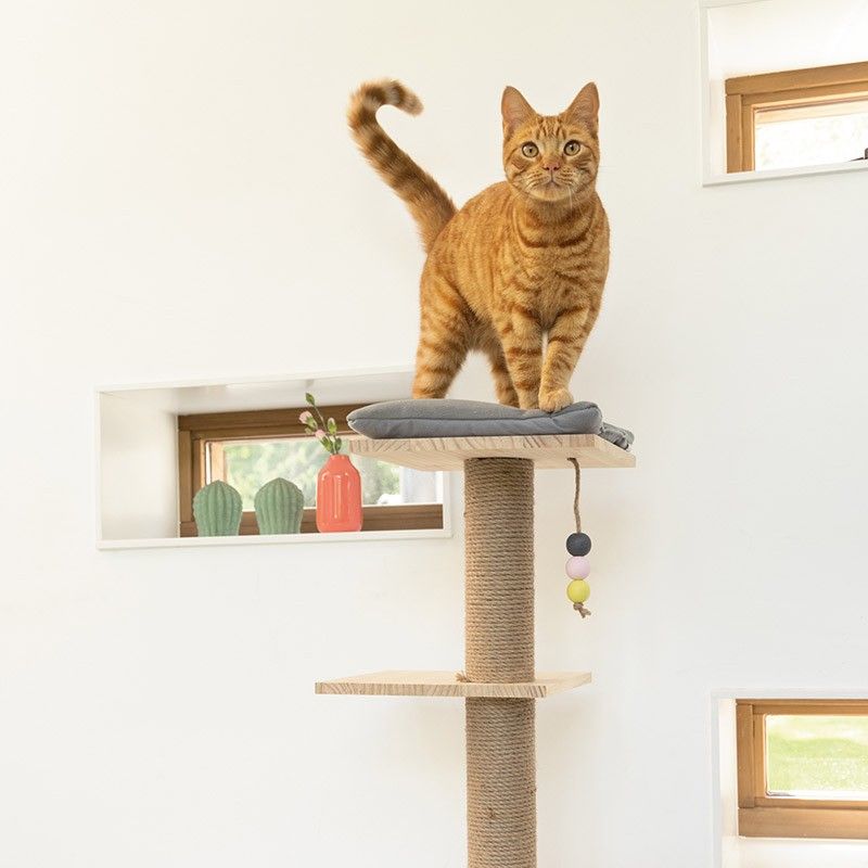 DESIGNED BY LOTTE Arbre à chat Kamina – Arbre avec niche, couverture et coussin – photo 3