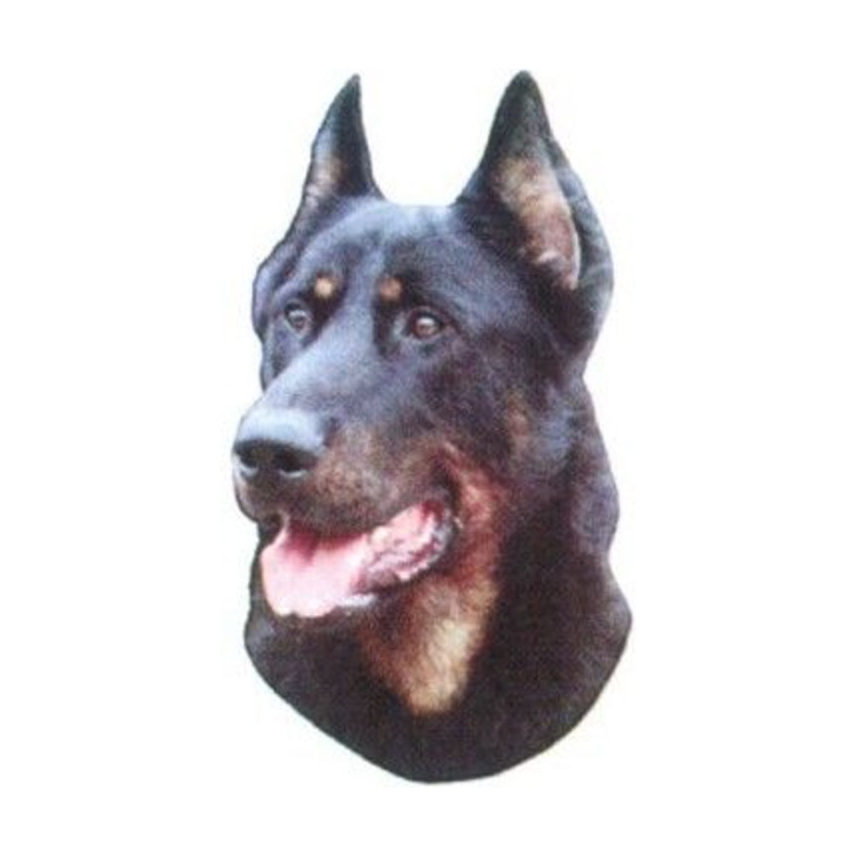 CAMON Autocollant race de chien A à C – Pour plaque « Je monte la garde » – photo 4