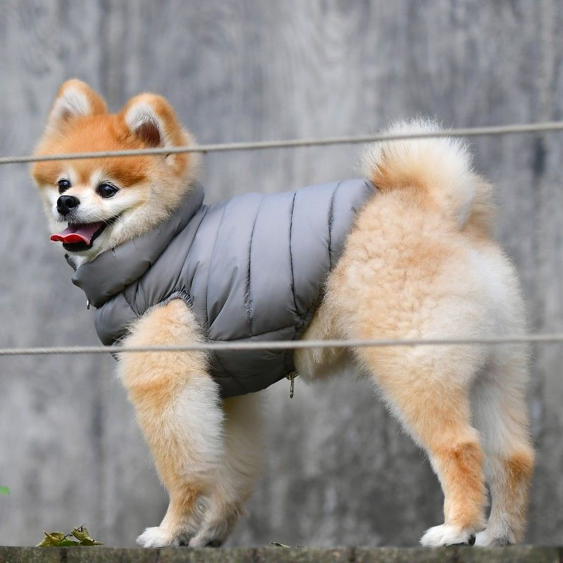 PUPPIA Doudoune Ultralight – Doudoune légère pour chien avec pochette, s - dos 17/19 cm, poitrail 32/34 cm, cou 22/23 cm, m - dos 24/26 cm, poitrail 38/42 cm, cou 25/27 cm ou l - dos 27/29 cm, poitrail 44/48 cm, cou 29/31 cm – photo 3