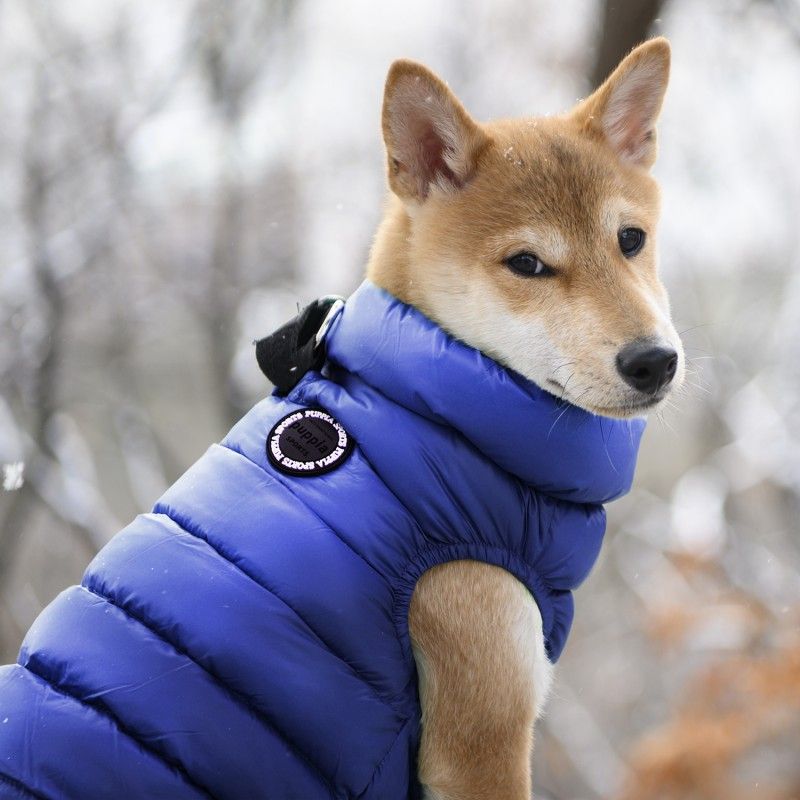 PUPPIA Doudoune Ultralight – Doudoune légère pour chien avec pochette, s - dos 17/19 cm, poitrail 32/34 cm, cou 22/23 cm, m - dos 24/26 cm, poitrail 38/42 cm, cou 25/27 cm ou l - dos 27/29 cm, poitrail 44/48 cm, cou 29/31 cm – photo 1