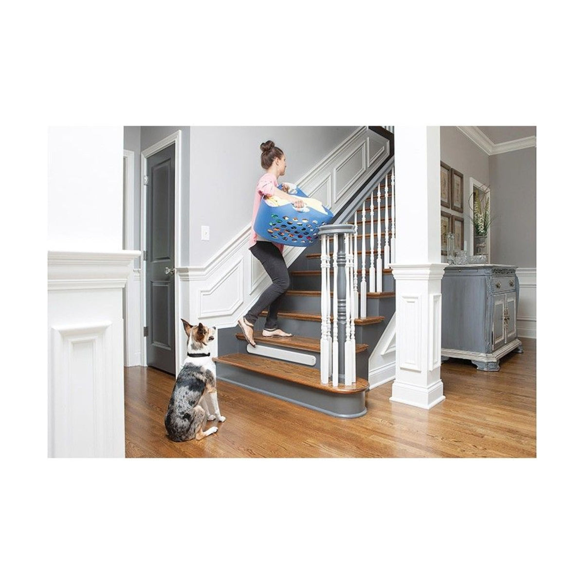 PETSAFE Pawz Away – Barrière de seuil avec collier récepteur – photo 1