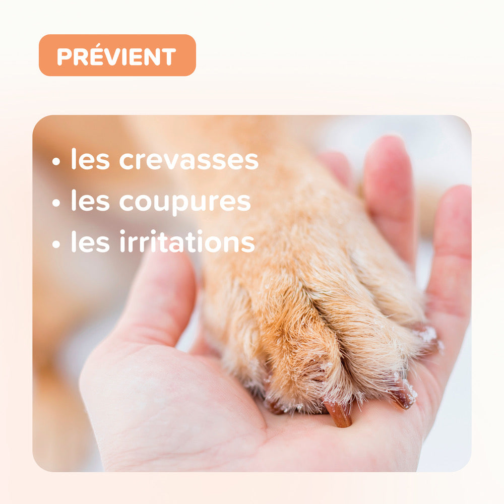 Beaphar Baume coussinets – Soin protecteur des pattes pour chien et chat – photo 5