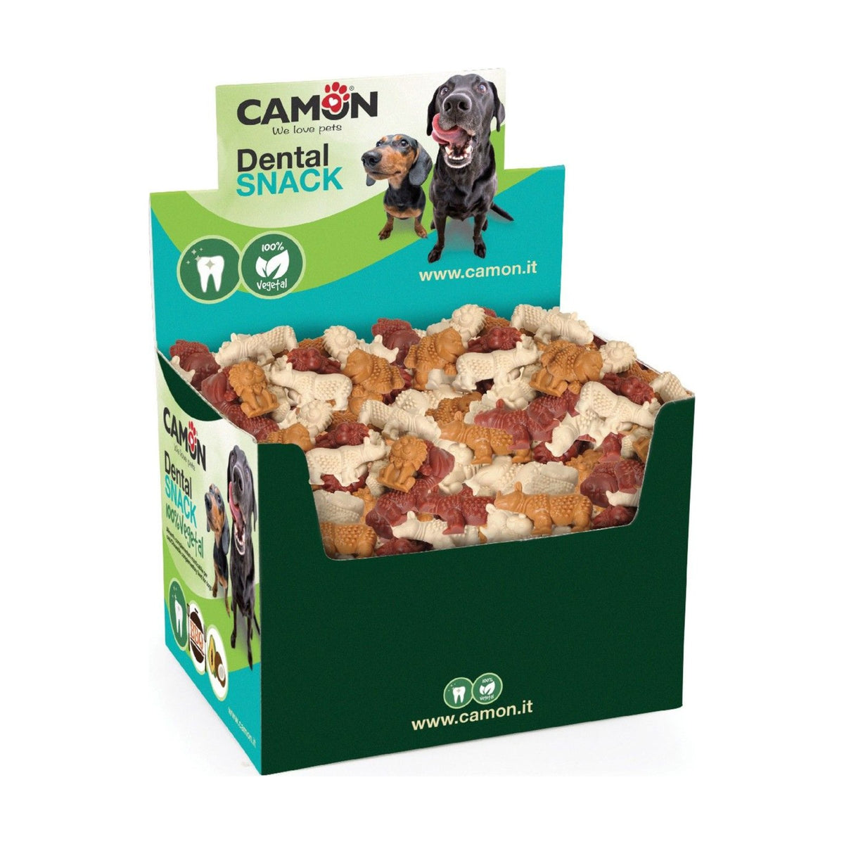 Boîte de friandises Veggie Dental Snack Jungle