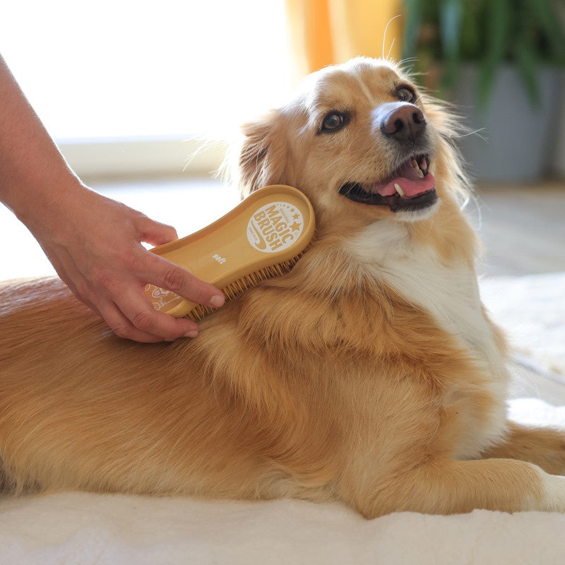KERBL MagicBrush Soft – Brosse douce pour chien sensible à poil court – photo 2