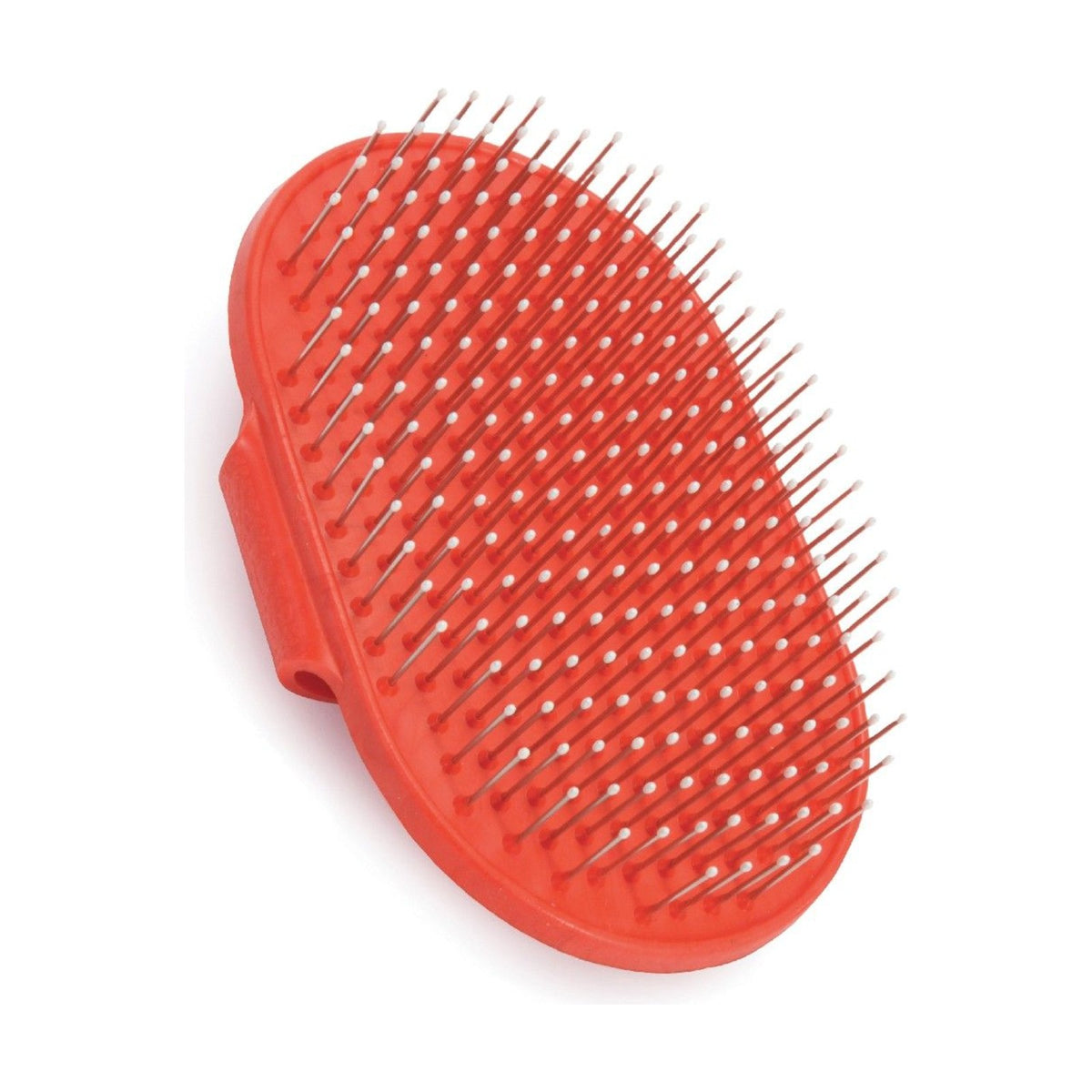 Brosse pour poils durs avec poignée – Brosse picots métal pour chien – photo 2