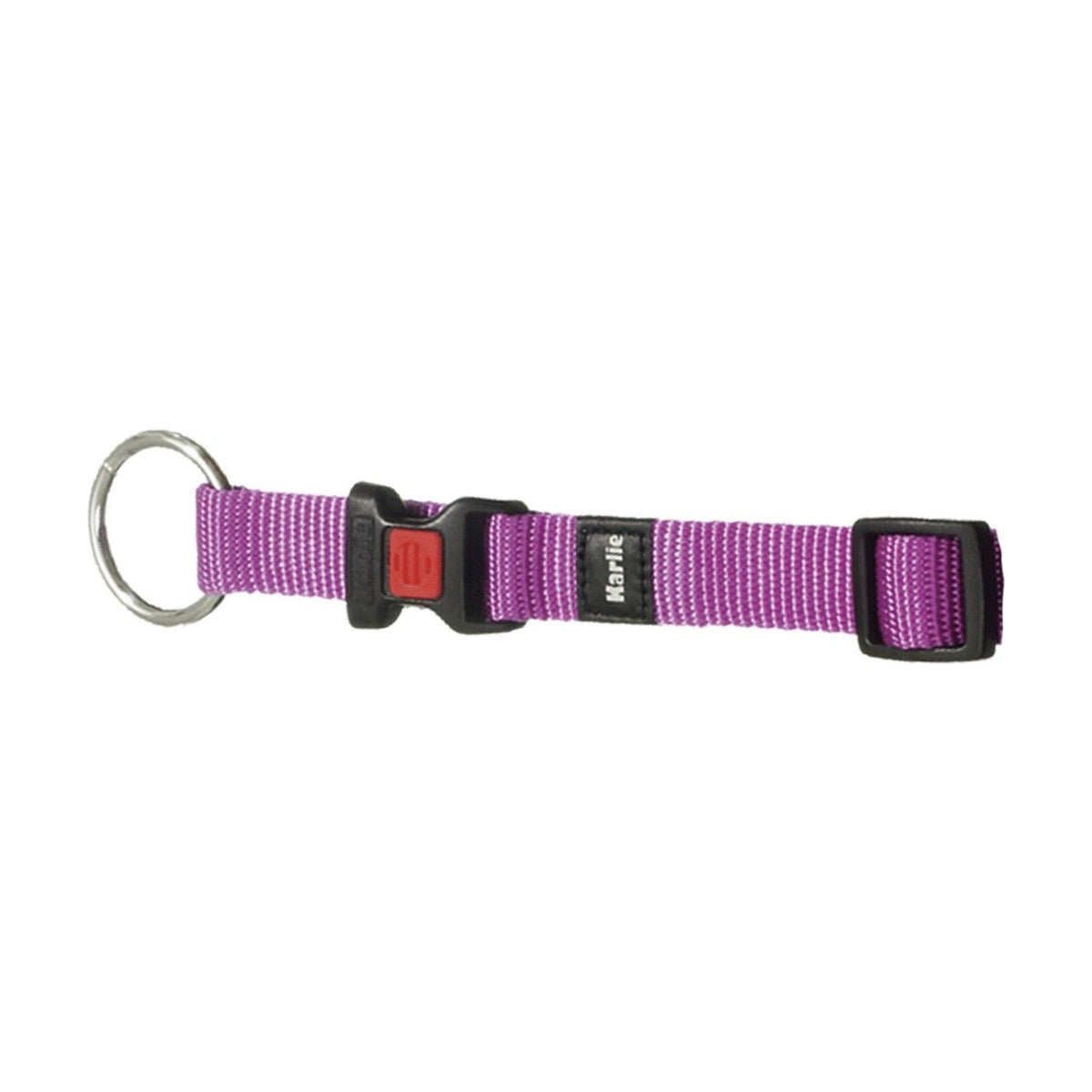KARLIE Collier nylon réglable – Collier coloré pour chien – photo 5