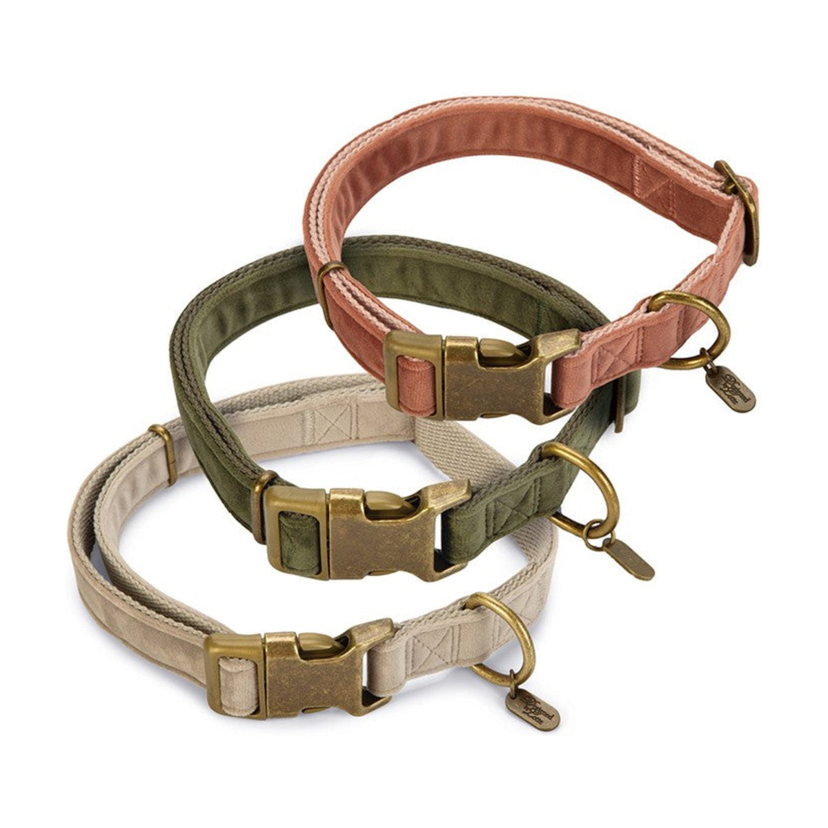 DESIGNED BY LOTTE Collier Velura en velours pour chien – photo 1