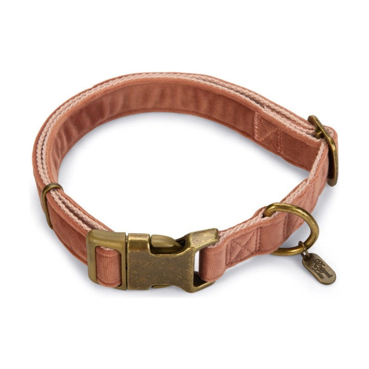 DESIGNED BY LOTTE Collier Velura en velours pour chien – photo 4
