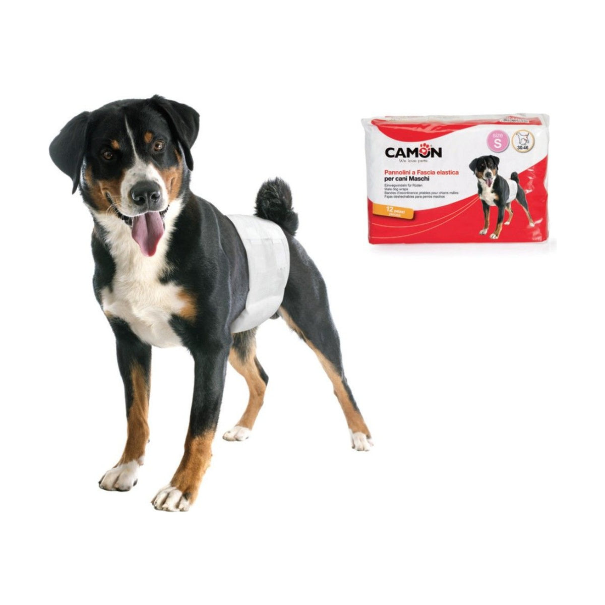 Couches jetables pour chien mâle