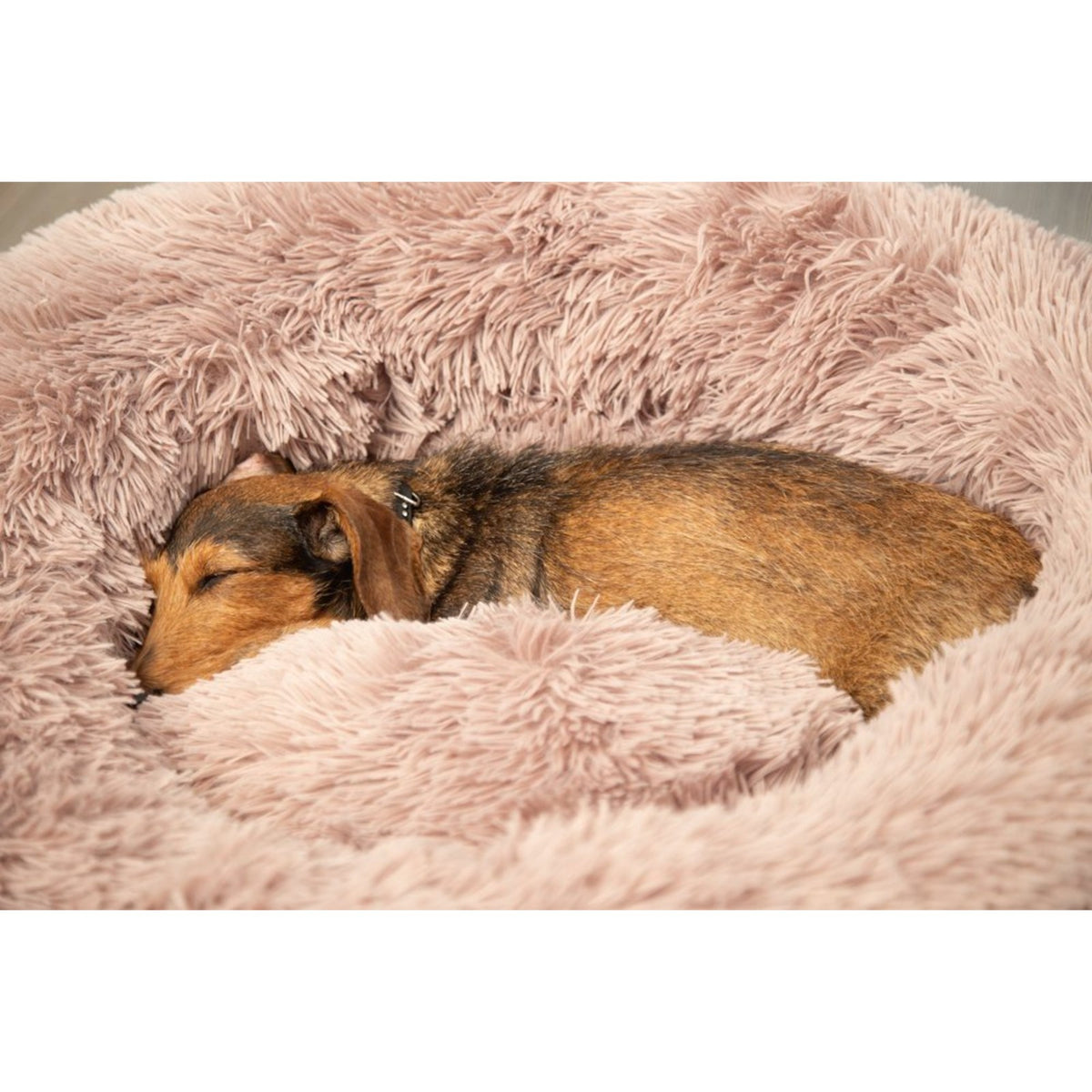 BEEZTEES Coussin donut Yali beige – Panier rond en peluche pour chien et chat – photo 2