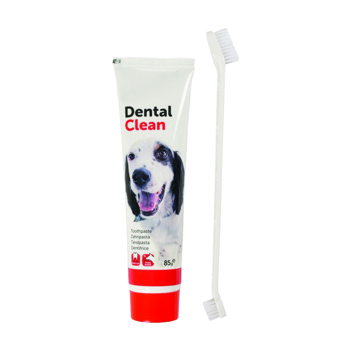 Dentifrice + Brosse à dents double