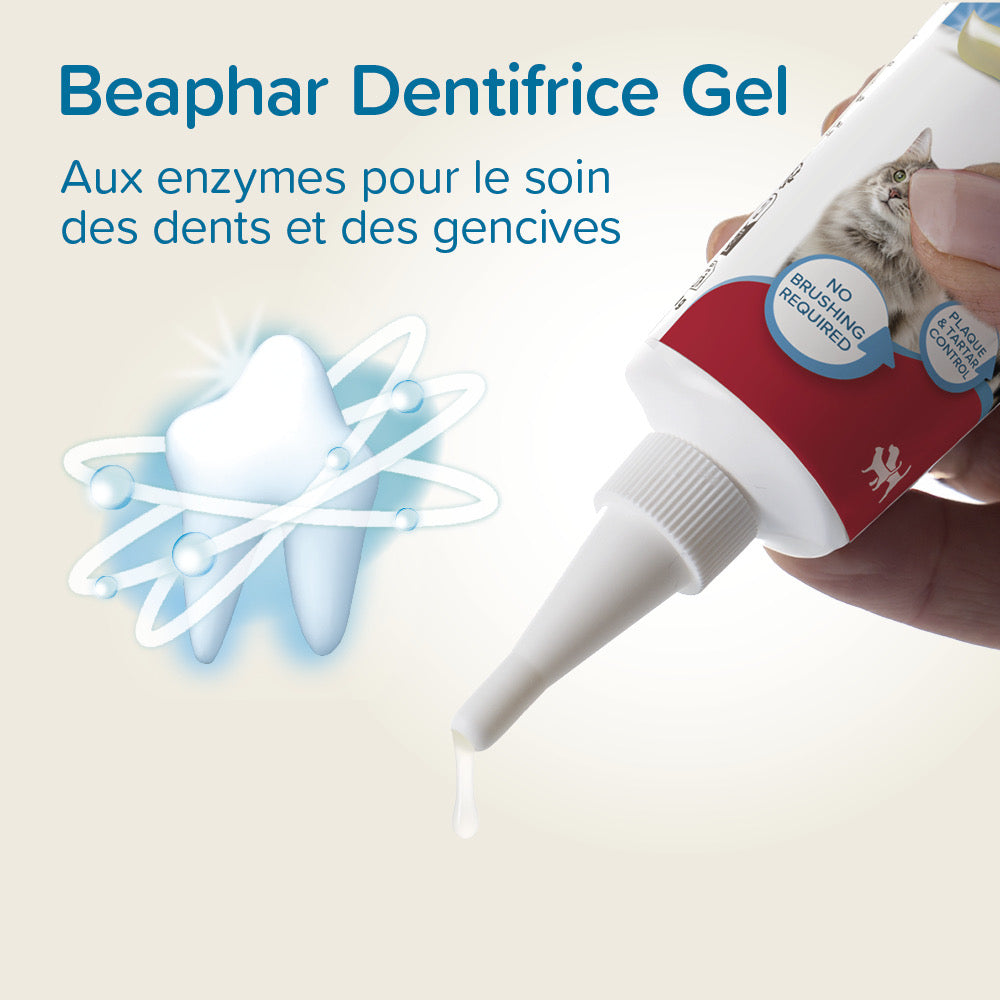 Beaphar Dentifrice gel haleine fraîche – Soin dentaire pour chien et chat – photo 3