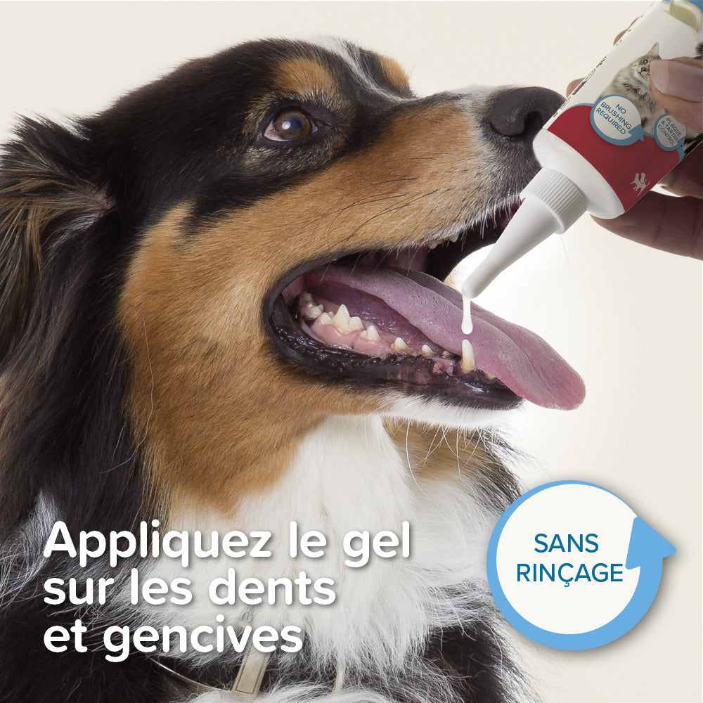 Beaphar Dentifrice gel haleine fraîche – Soin dentaire pour chien et chat – photo 4