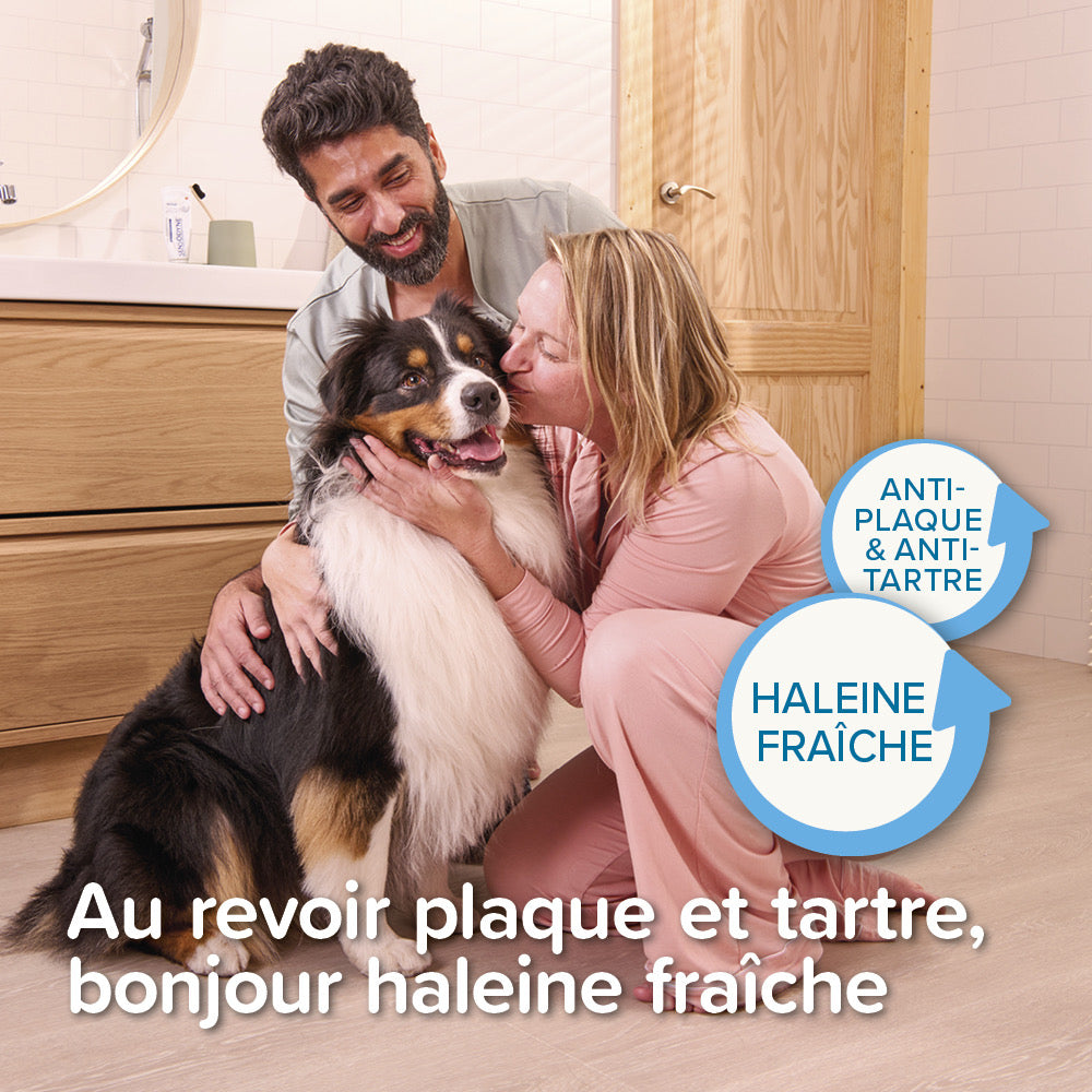 Beaphar Dentifrice gel haleine fraîche – Soin dentaire pour chien et chat – photo 5