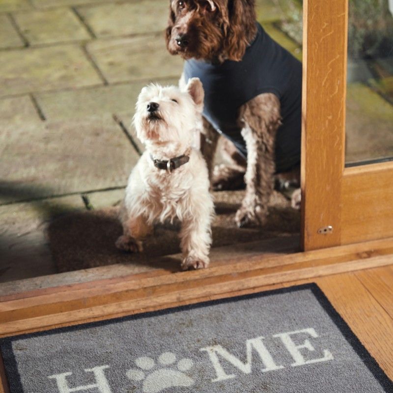 HOWLER & SCRATCH Tapis Home – Paillasson absorbant pour chien et chat – photo 2