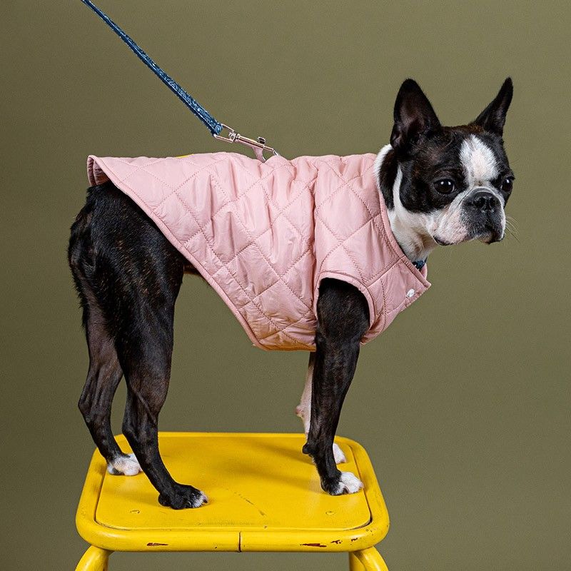 BANDIT Doudoune – Doudoune matelassée en nylon recyclé pour chien – photo 8