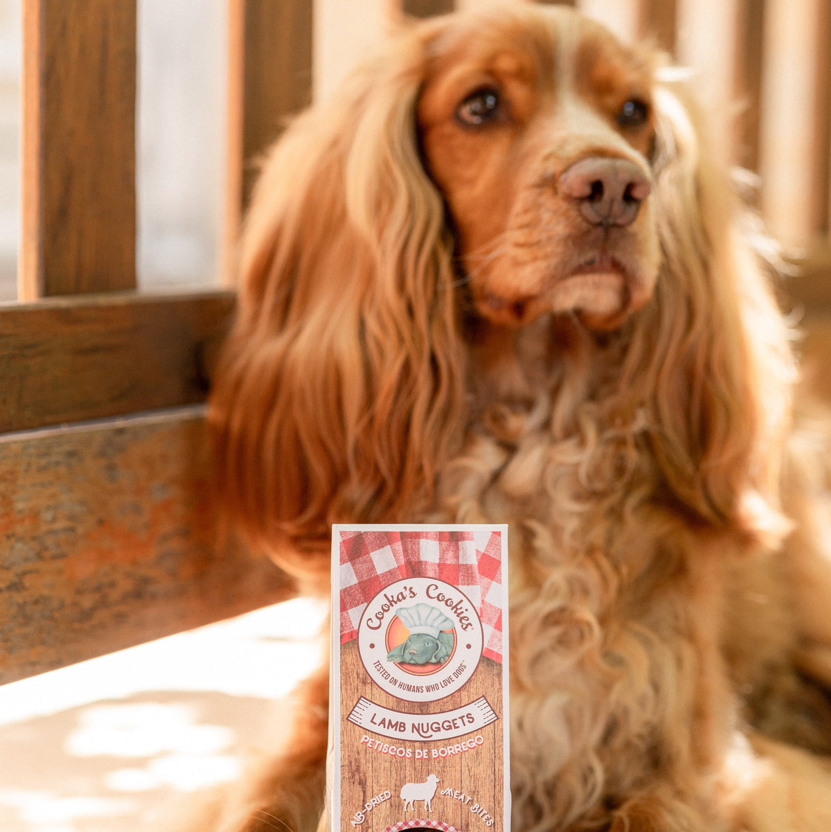 COOKA'S COOKIES Nuggets – Friandises pour chien à la viande et aux os broyés 60 g – photo 5