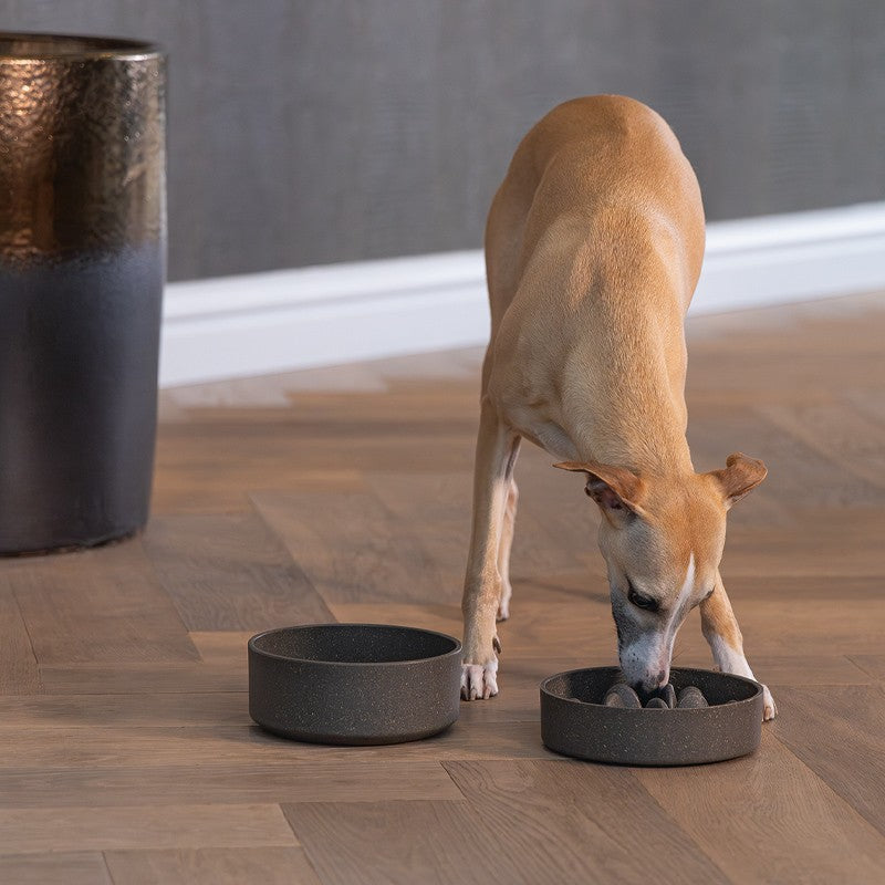 DESIGNED BY LOTTE Gamelle Bambou – Gamelle étanche pour chien et chat – photo 4