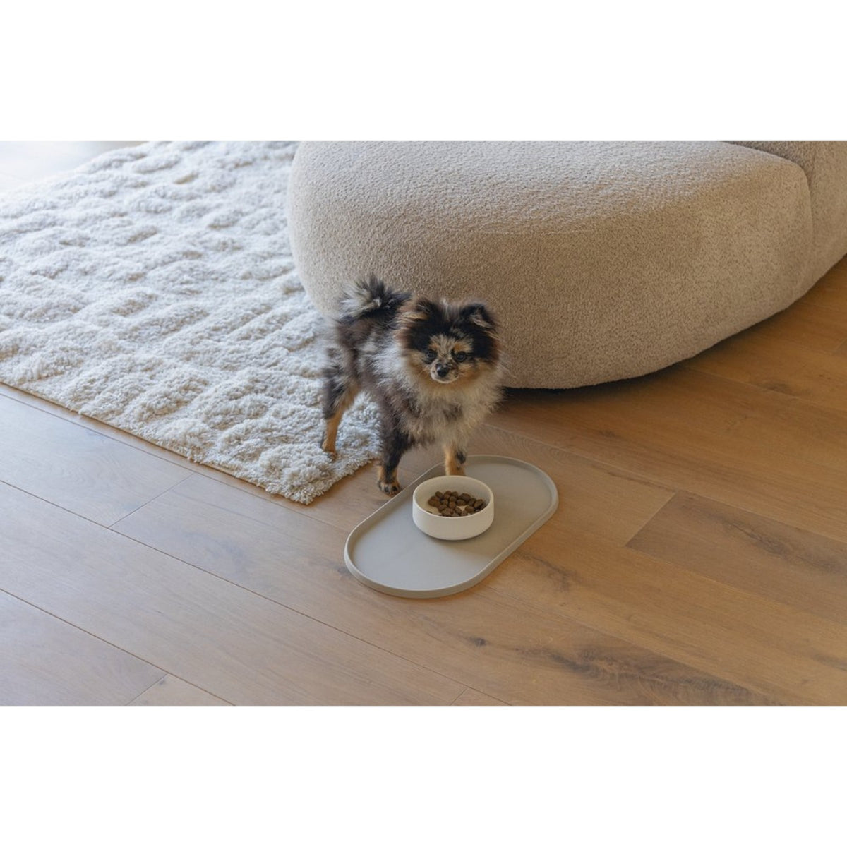 DESIGNED BY LOTTE Gamelle céramique Lojs – Gamelle robuste pour chien et chat – photo 4