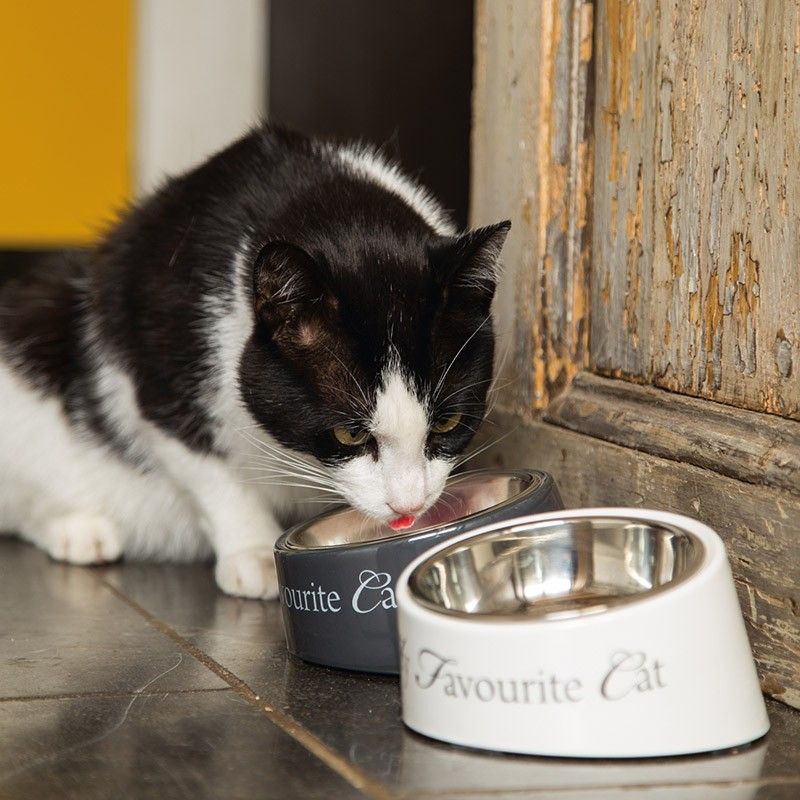 DESIGNED BY LOTTE Gamelle My Favourite Cat – Gamelle inclinée pour chat – photo 2