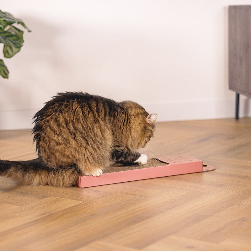 BEEZTEES Griffoir Léopard – Griffoir carton à suspendre avec herbe à chat – photo 2