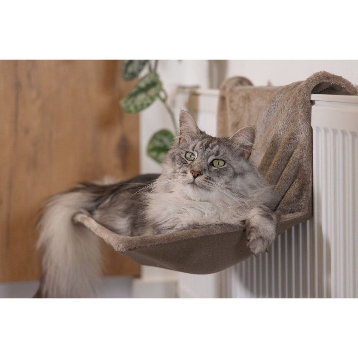 BEEZTEES Hamac de radiateur Sleepy – Couchage suspendu pour chat – photo 2