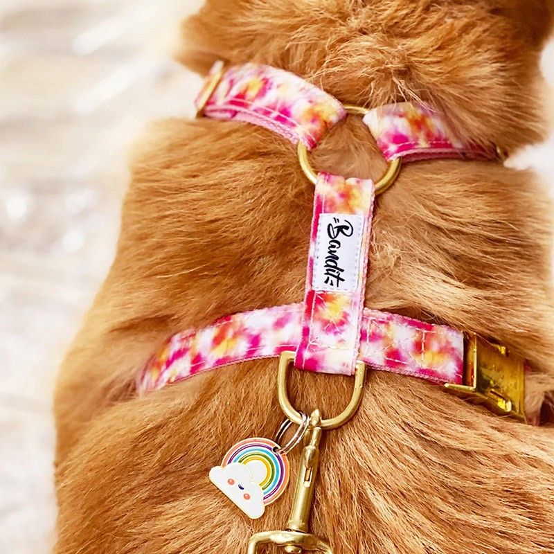 BANDIT Harnais Bandikini – Harnais en H tie & dye pour chien – photo 3
