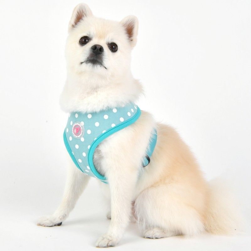 PINKAHOLIC Harnais réglable Ida – Harnais à pois pour chien – photo 2