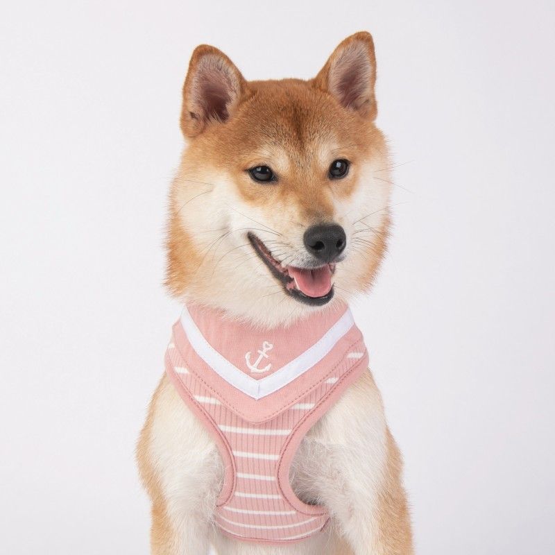 PINKAHOLIC Harnais Cordelia – Harnais marinière avec bandana pour chien – photo 1