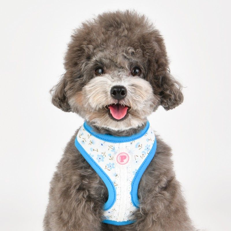 PINKAHOLIC Harnais réglable Lobelia – Harnais fleuri pour chien – photo 6
