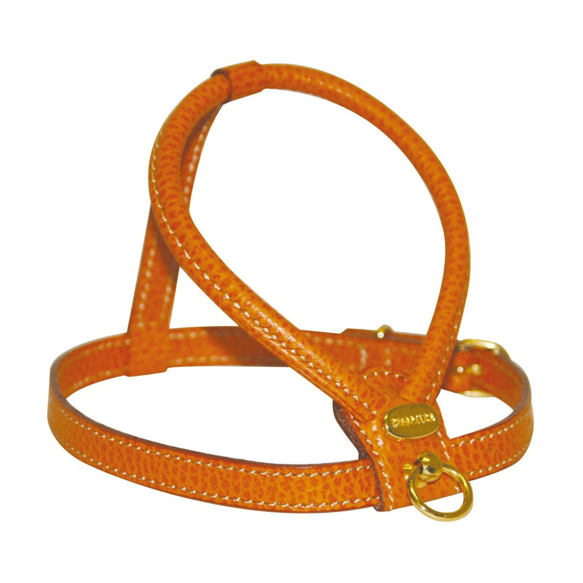 CAMON Harnais en cuir de veau souple – Harnais élégant pour petit chien – photo 4