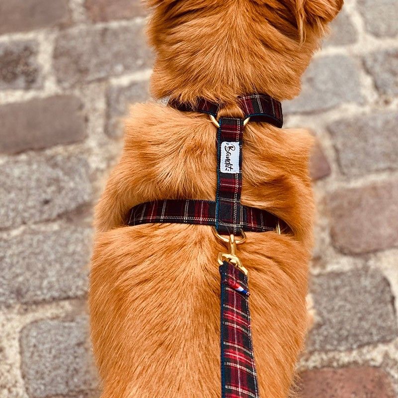 BANDIT Harnais Oh My Lord – Harnais en H tartan pour chien – photo 3