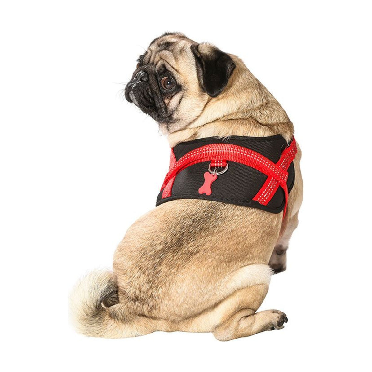 BOBBY Harnais Easy Safe – Harnais réfléchissant facile à enfiler pour chien – photo 4