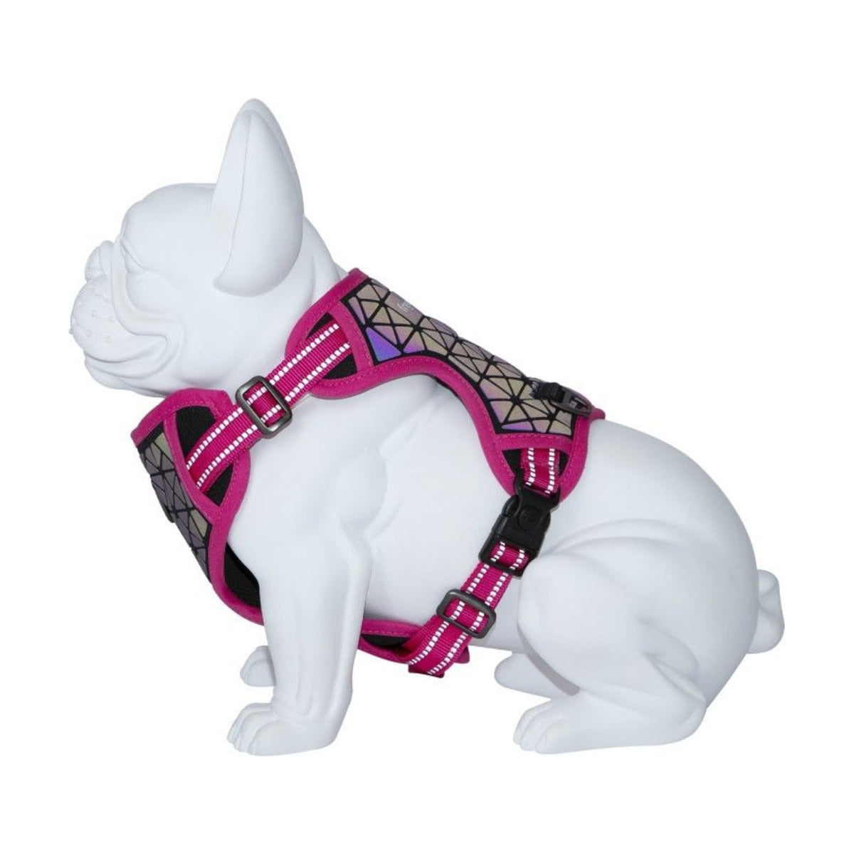 FREEDOG Harnais Boréal – Harnais réfléchissant réglable pour chien – photo 3