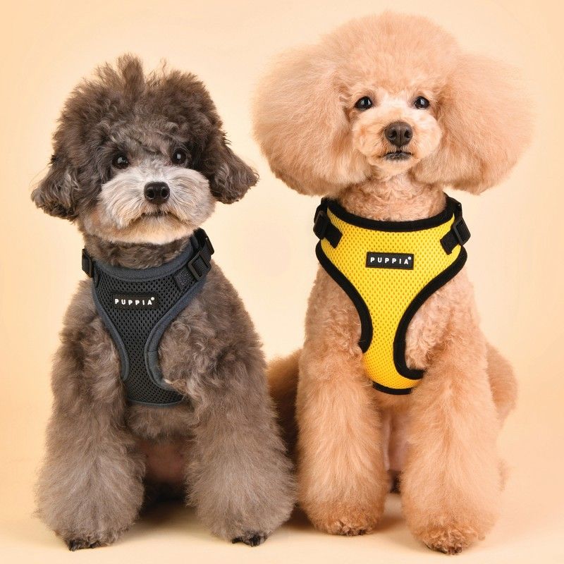PUPPIA Harnais réglable Ritefit – Harnais à double réglage cou et poitrail – photo 4