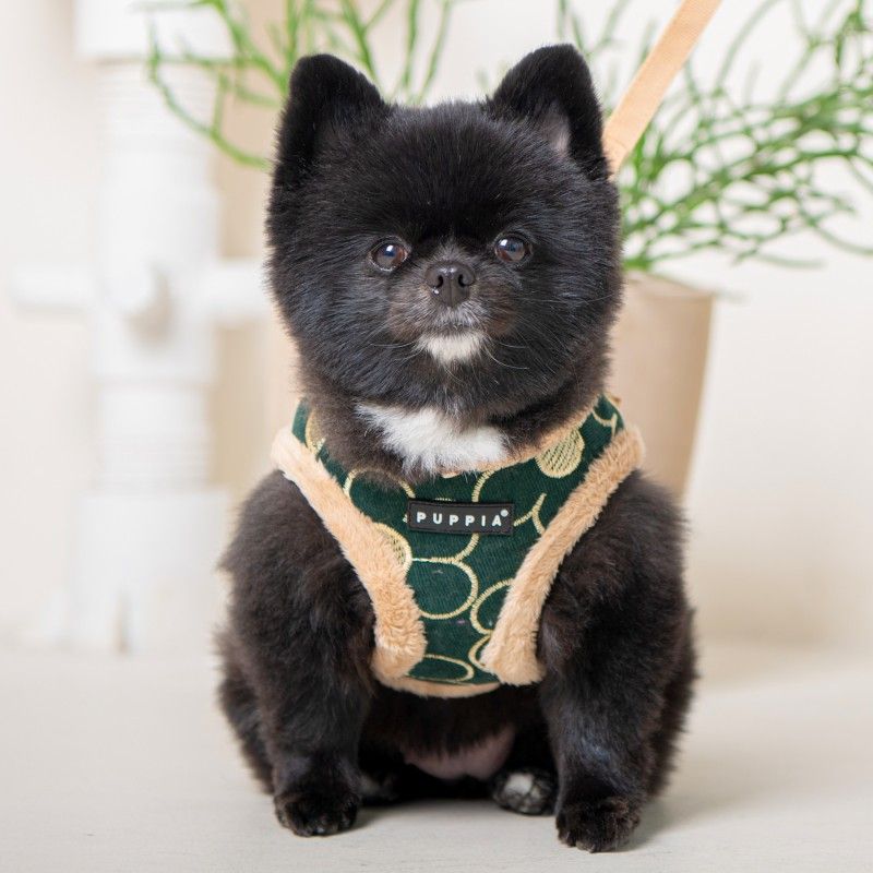 PUPPIA Harnais réglable Florent kaki – Harnais doublé fourrure pour petit chien – photo 3