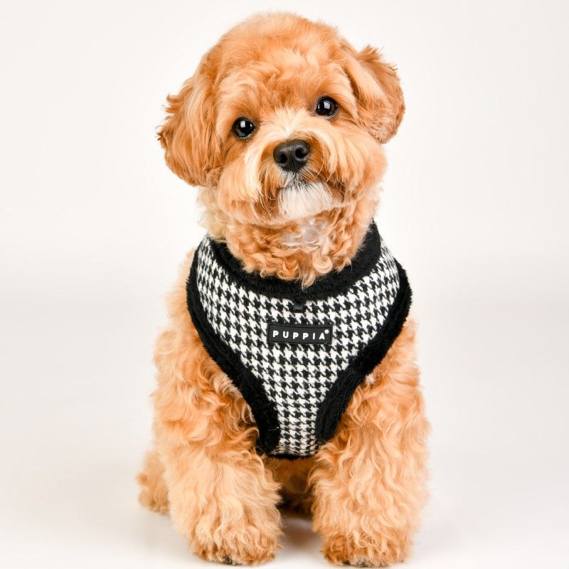 PUPPIA Harnais réglable Shepherd noir – Harnais doublé fourrure pour chien – photo 4