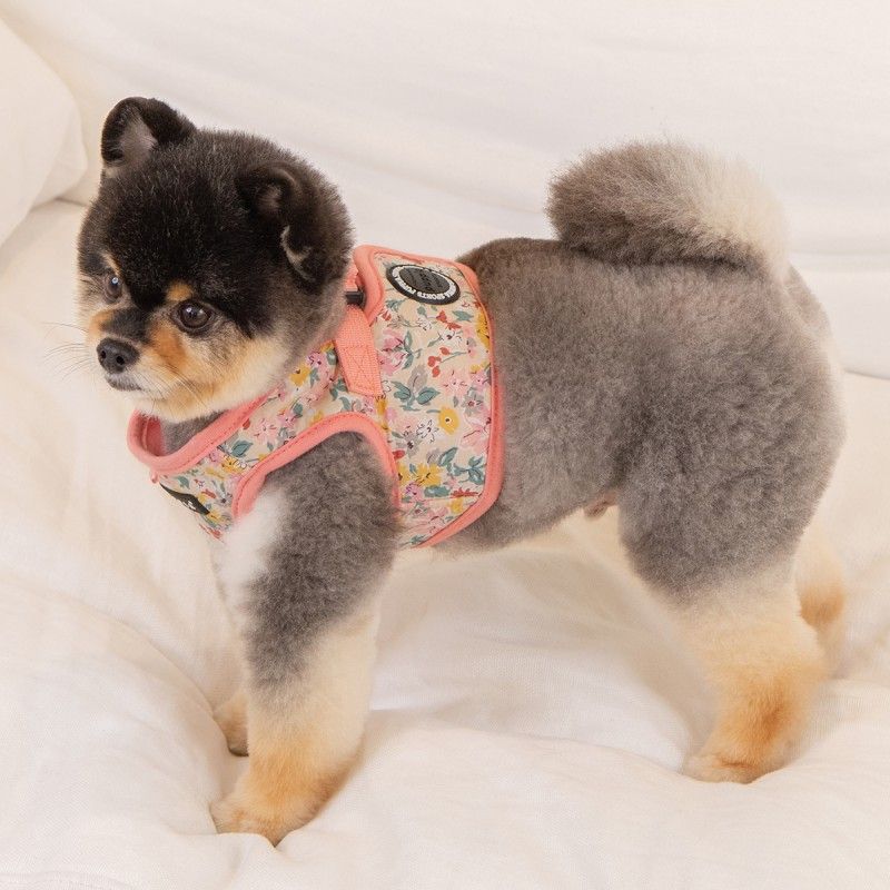 PUPPIA Harnais veste Lita – Harnais fleuri en coton pour petit chien – photo 6