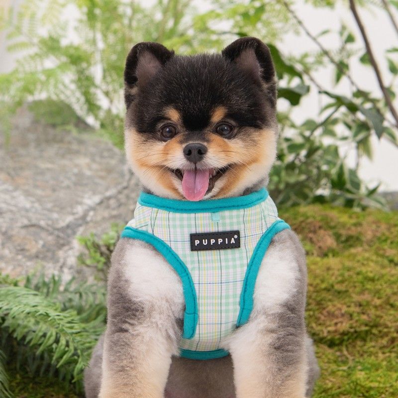 PUPPIA Harnais veste Luke – Harnais quadrillé à liseré pour chien – photo 4