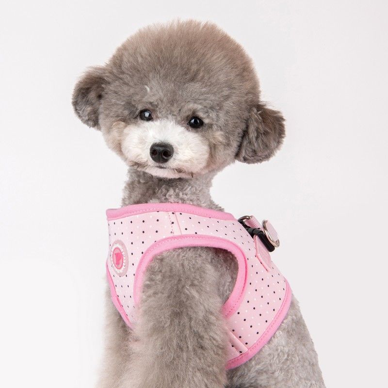 PINKAHOLIC Harnais veste Mila – Harnais à pois pour petit chien – photo 7