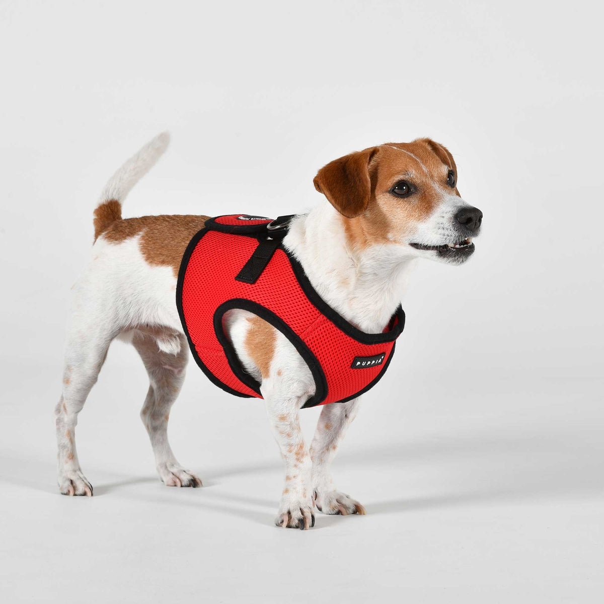 PUPPIA Harnais veste Soft – Harnais gilet pour petit chien, rouge – photo 2